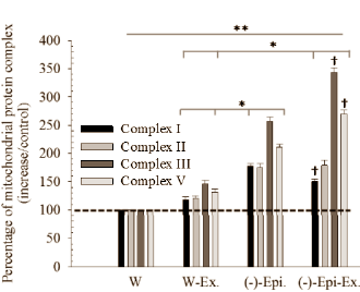 Cocoa makes you fit faster
