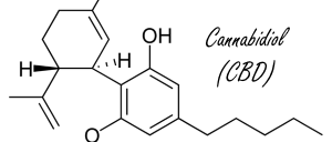 Cannabidiol makes you less shy within three hours