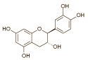 Cacao contains (-)-epicatechin [structural formula to the right], a flavonoid that improves endurance performance in diabetes, animals studies have shown improves the results of condition training and  if the animals stop training  maintains the training results for longer. According to researchers at the Mexican Escuela Superior de Medicine del Instituto Politecnico Nacional, this same (-)-epicatechin might also be of interest to strength athletes: it inhibits myostatin, has an anabolic effect and boosts muscle strength. In humans.