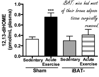 12,13-Di-HOME: a new fat loss agent? Or a new undetectable endurance drug?