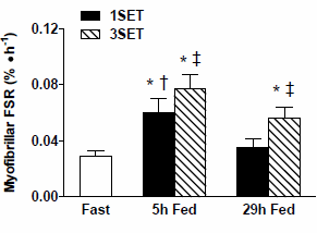 Three sets builds more muscle than one set