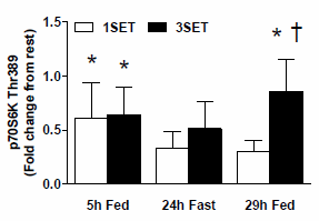 Three sets builds more muscle than one set