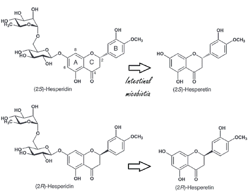 Half a gram of 2S-hesperidin speeds up your sprint