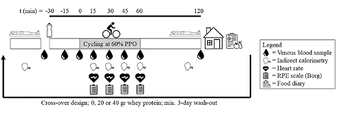 Workout after 40 grams of protein burns just as much fat as workout in fasted state