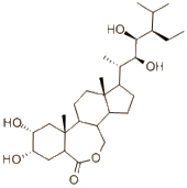 Brassinosteroids are anabolic