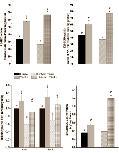 28-Homobrassinolide boosts testosterone synthesis