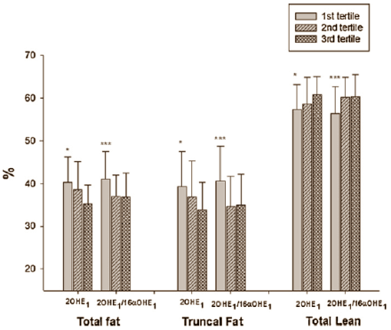 Slim and toned with 2-hydroxy-estradiol