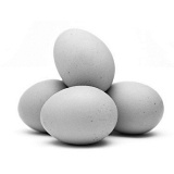 Onions, garlic, eggs, olive oil and beans protect against melanoma