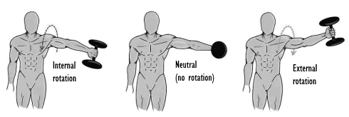This is perhaps the most effective version of the lateral raise