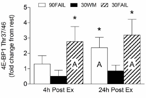 Study shows you build up just as much muscle with low weights and lots of reps