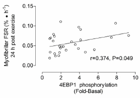Study shows you build up just as much muscle with low weights and lots of reps