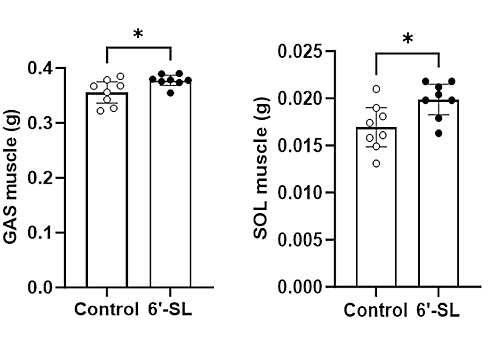 6-Sialyllactose | An anabolic sugar in milk