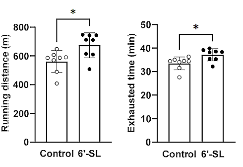 6-Sialyllactose | An anabolic sugar in milk