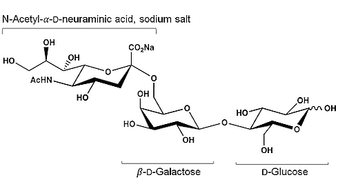 6-Sialyllactose | An anabolic sugar in milk