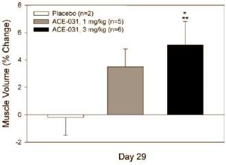 Research on myostatin inhibitor ACE-031 stopped  but the stuff does work