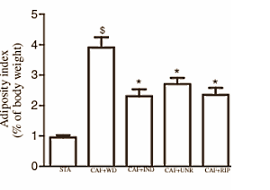 Animal study: acerola inhibits growth of fat tissue