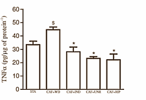 Animal study: acerola inhibits growth of fat tissue