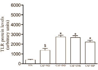 Animal study: acerola inhibits growth of fat tissue