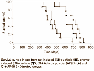 Phenols found in cacao can help users of testosterone, and possibly also other anabolic steroids, to protect their prostate. Animal studies funded by the Barry Callebaut Group, the manufacturer of the phenol-rich preparation Acticoa, have shown this to be the case.