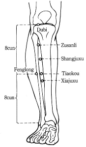 Acupuncture strengthens muscles
