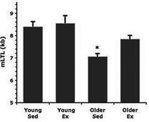 Longueur des télomères en fonction de l'âge et de l'activité physique