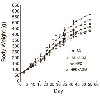 Agmatine, the slimming supplement that does (almost) everything