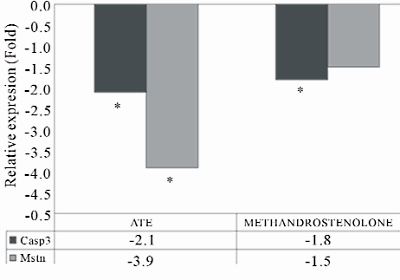 The unusual anabolic effect of Ajuga turkestanica