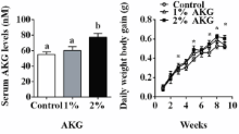 The unsuspected anabolic effect of AKG (in massively high doses)