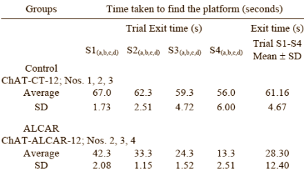 Learning works better with acetyl-L-carnitine