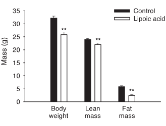 Alpha-Lipoic acid has positive and negative effects on body composition