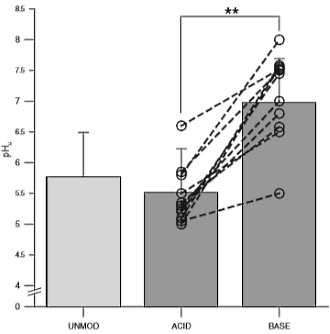 Alkaline diet improves high-intensity sports performance