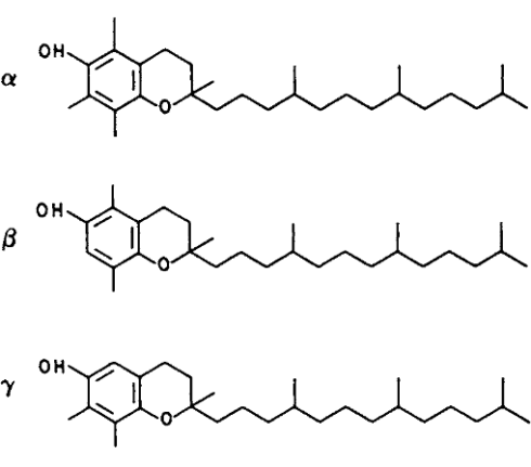 More vitamin E, less dementia