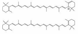 Alpha et bêta-carotène structure moléculaire