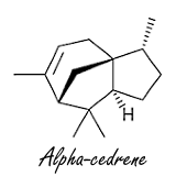 Alpha-cedrene, a completely new kind of anabolic from cedar oil
