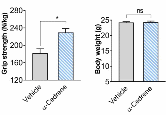 Alpha-cedrene, a completely new kind of anabolic from cedar oil