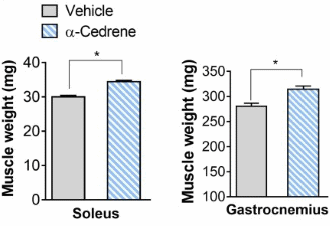 Alpha-cedrene, a completely new kind of anabolic from cedar oil
