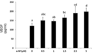 Alpha-napthoflavone, the sly fat-maker in testosterone boosters