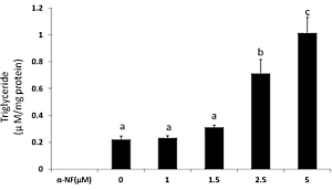 Alpha-napthoflavone, the sly fat-maker in testosterone boosters