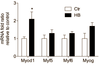 Brassinosteroids are anabolic