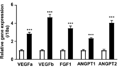 Wakame, the fitness algae