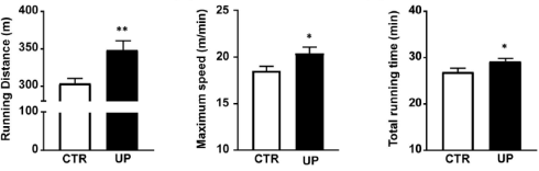 Wakame, the fitness algae