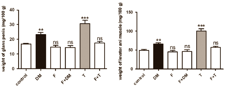 Traditional healers in Eastern Europe have been giving drone milk to older men as an anti-aging remedy or aphrodisiac for centuries. It's even possible that drone milk actually works, researchers at the University of Szeged in Hungary write in the Journal of Ethnopharmacology. According to their animal studies, drone milk has anabolic and androgenic properties.