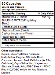 Blepharis edulis: an unlikely testosterone booster