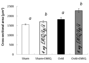 EMIQ, an anabolic compound based on quercetin