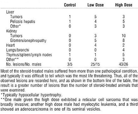 Non-stop long-term steroids use reduces life span, says animal study