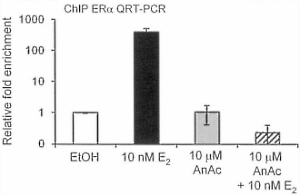 A handful of cashew nuts contains about 20 mg anacardic acid, a substance that has an anti-oestrogenic effect, molecular biologists at the University of Louisville discovered. They also discovered that the anacardic acid killed hormone sensitive breast cancer cells in their test tubes.