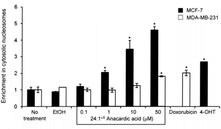 Anacardic acid: the anti-oestrogen in cashew nuts