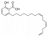 Anacardic acid: the anti-oestrogen in cashew nuts