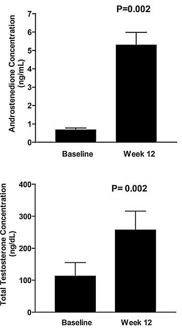 Prohormone Androstenedione increases muscle mass