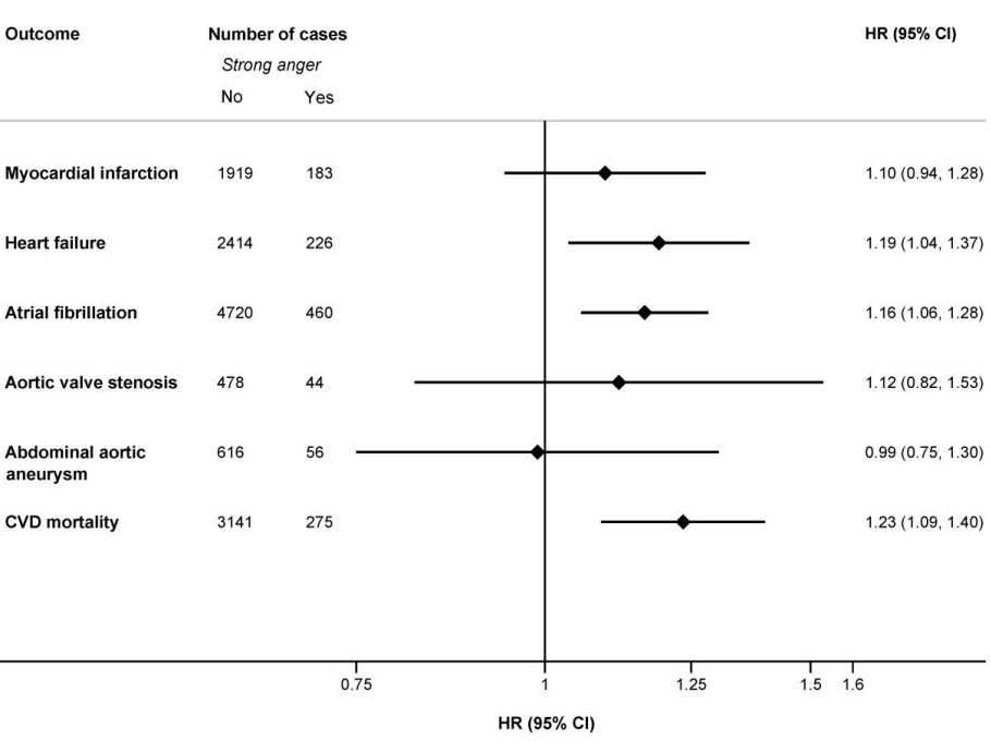 If you have an outburst of anger at least once a week, the chance that your heart will stop beating prematurely is a quarter greater than if there is less anger in your life. That is suggested by a study published in 2022 in the European Heart Journal Open.